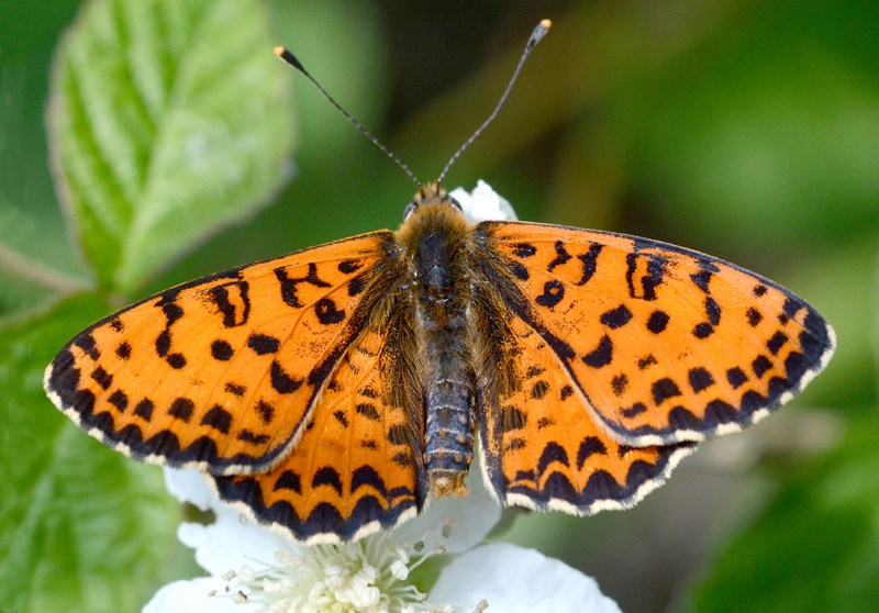 A luce naturale; tentativi